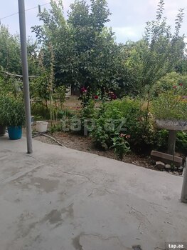 Həyət evi, Şəki r.