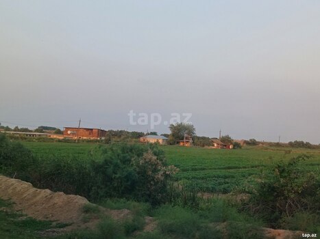 6500 sot torpaq sahəsi, Sabirabad r.