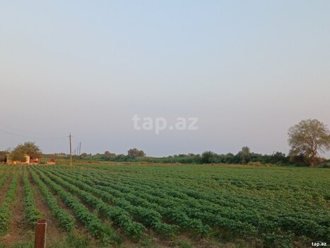 6500 sot torpaq sahəsi, Sabirabad r.