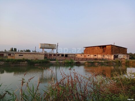 6500 sot torpaq sahəsi, Sabirabad r.