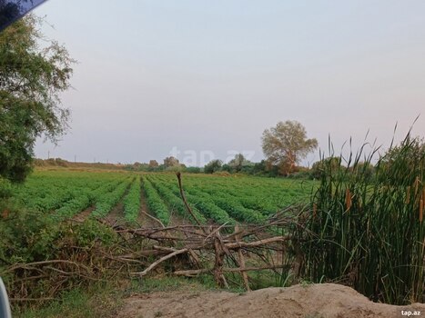 6500 sot torpaq sahəsi, Sabirabad r.