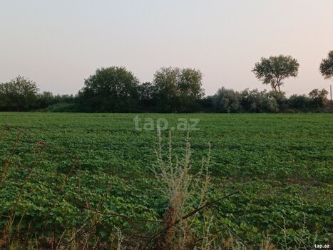 6500 sot torpaq sahəsi, Sabirabad r.