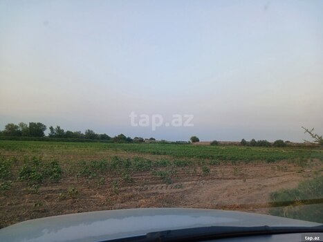 6500 sot torpaq sahəsi, Sabirabad r.