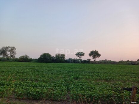 6500 sot torpaq sahəsi, Sabirabad r.