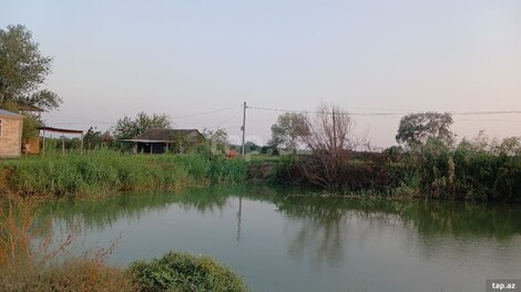 6500 sot torpaq sahəsi, Sabirabad r.