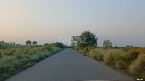 6500 sot torpaq sahəsi, Sabirabad r.