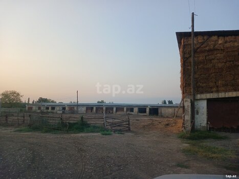 6500 sot torpaq sahəsi, Sabirabad r.
