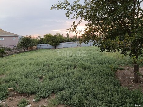 Həyət evi, Biləsuvar r.
