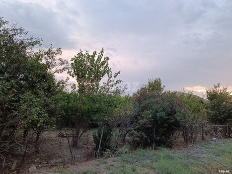 Həyət evi, Biləsuvar r.