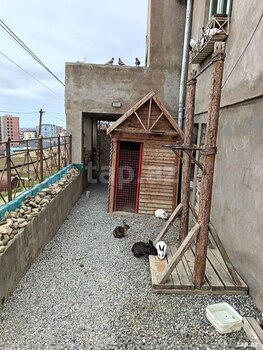 Həyət evi, Rza Talıbov küç.Ev 81a