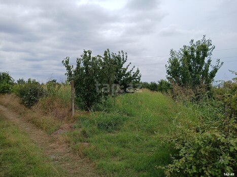 24 sot torpaq sahəsi, Xaçmaz r.