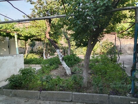 Həyət evi, Bülbülə qəs.