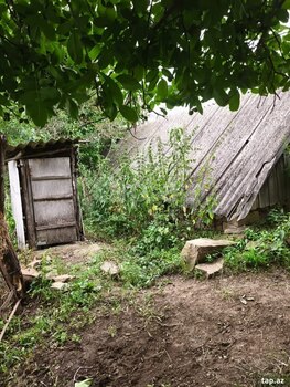 Həyət evi, Şəmkir ş.