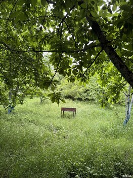 Həyət evi, Quba r.