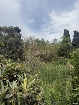 Həyət evi, Xırdalan ş.