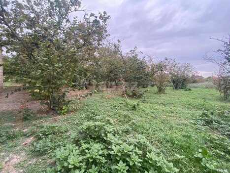 Həyət evi, Qarabağlı k.