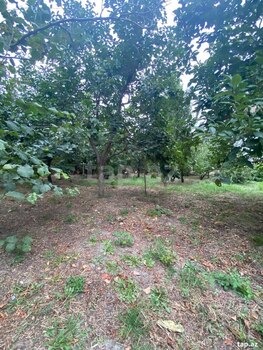 Həyət evi, Qarabağlı k.