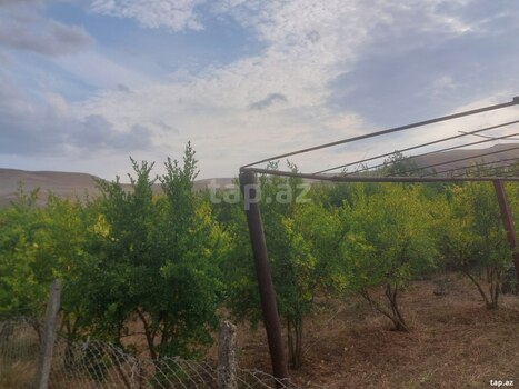 Həyət evi, Qobustan r.