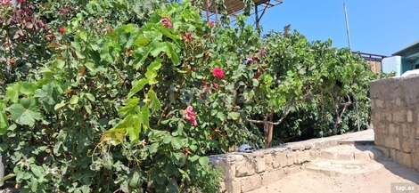 Həyət evi, Zirə qəs.