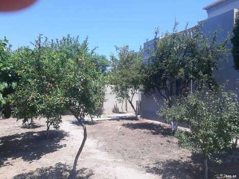 Bağ evi kirayə verilir, Novxanı qəs.