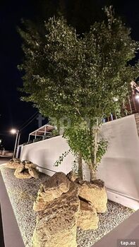Villa kirayə verilir, Mərdəkan qəs.