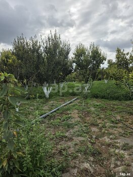 Bağ evi, Xaçmaz r.