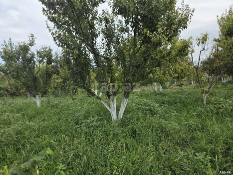 Bağ evi, Xaçmaz r.