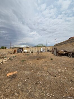 6 sot torpaq sahəsi, Şirvan ş.