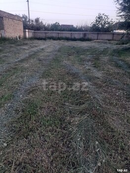 10 sot torpaq sahəsi, Saatlı r.