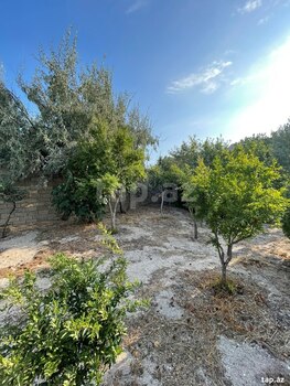 Bağ evi, Hövsan qəs.