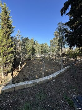 12 sot torpaq sahəsi, Z.Tağıyev küç.