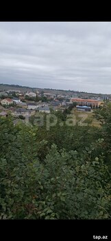 10 sot torpaq sahəsi, Quba ş.