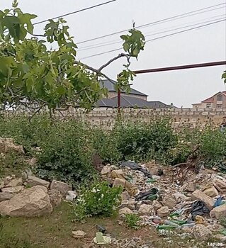 44.2 sot torpaq sahəsi, Albalılıq qəs.