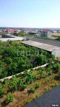 Bağ evi, Pirşağı qəs.