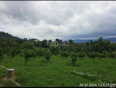 Bağ evi, Astara r.