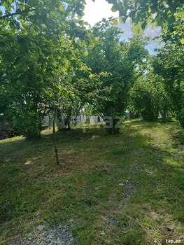 Bağ evi, Oğuz r.