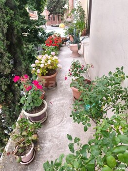 2-otaqlı yeni tikili kirayə verilir, Gəncə ş., 54 m²
