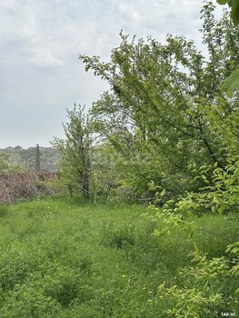 31 sot torpaq sahəsi, Gəncə ş.