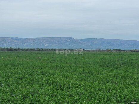 13000 sot torpaq sahəsi, Ağsu r.