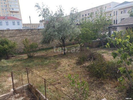 7.7 sot torpaq sahəsi, Badamdar qəs.