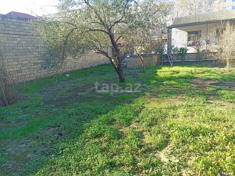 7.7 sot torpaq sahəsi, Badamdar qəs.