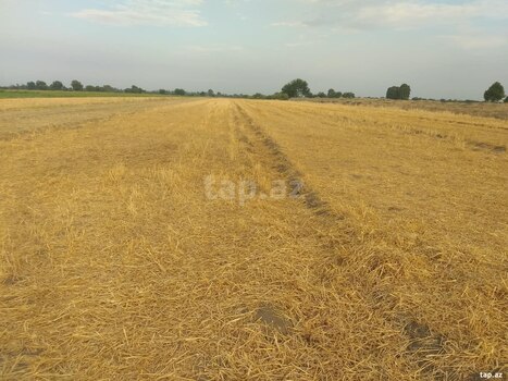 2.30 sot torpaq sahəsi, Tərtər r.