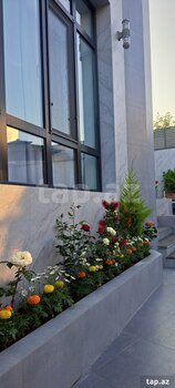 Bağ evi, Novxanı qəs.