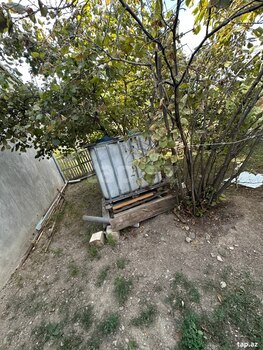 Həyət evi, Gəncə ş.