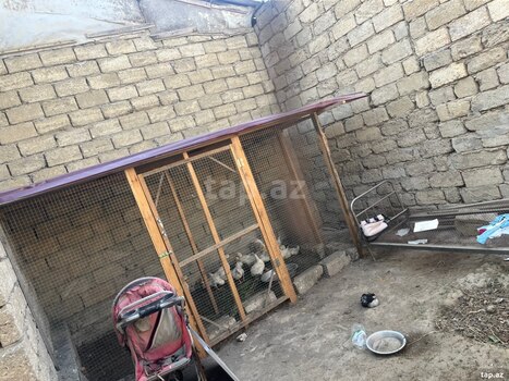 Həyət evi, Sabunçu r.