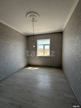 Həyət evi, Saray qəs.