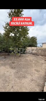 Həyət evi, Gəncə ş.