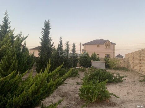 Bağ evi kirayə verilir, Nardaran qəs.