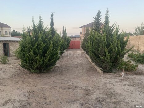 Bağ evi kirayə verilir, Nardaran qəs.