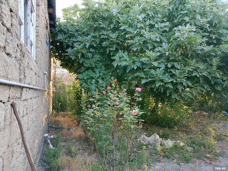 Həyət evi, Xaçmaz r.